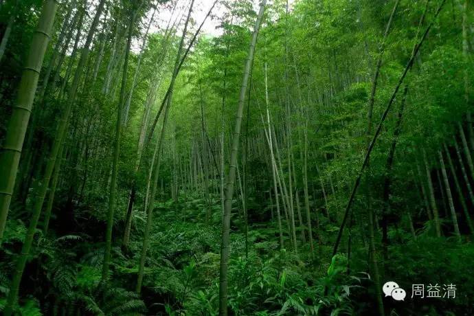 8e814e3cb707a3ef5dd2b84e9b2ab327