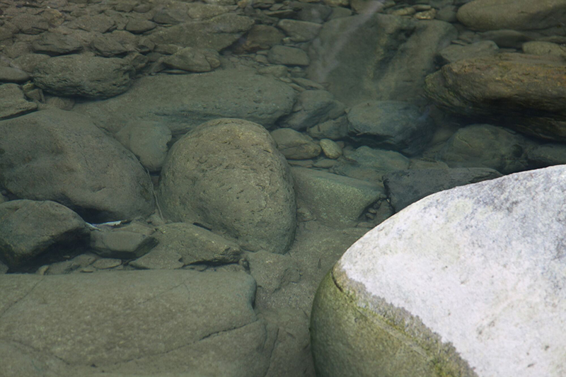 TIM图片20181127161939