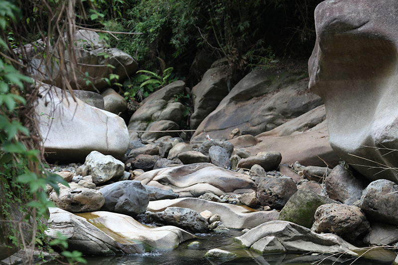 TIM图片20181127161903