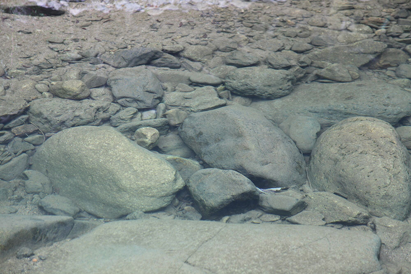 TIM图片20181127161840