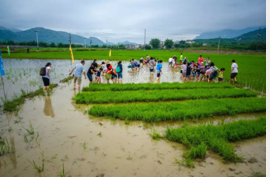 微信截图_20190506155907 微信截图_20190506155907