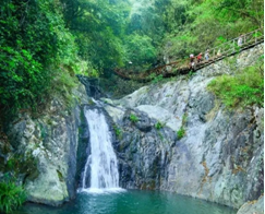 微信截图_20190506160626 微信截图_20190506160626