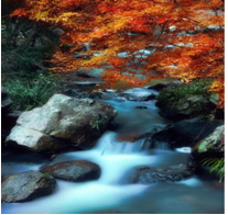 微信截图_20190506160648 微信截图_20190506160648