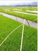 微信截图_20190506155859 微信截图_20190506155859