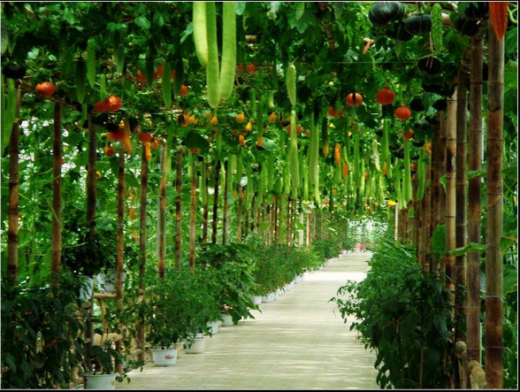 微信截图_20191009112157 微信截图_20191009112157