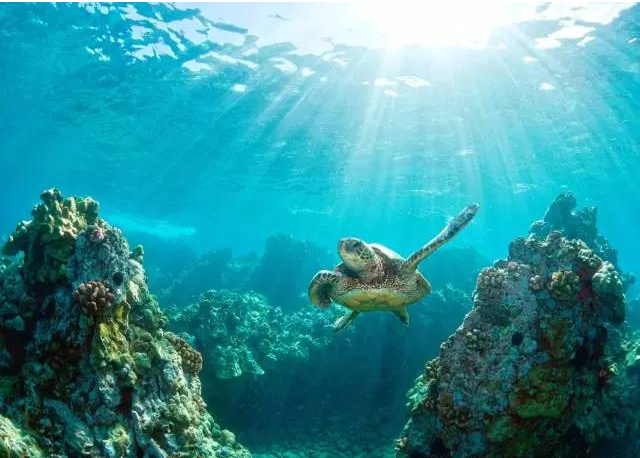 微信截图_20191105170746 微信截图_20191105170746