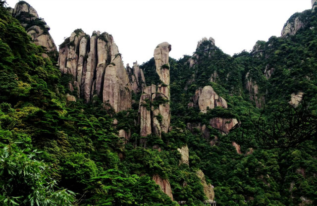 timg (1)_meitu_3 timg (1)_meitu_3